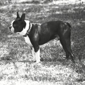 Meet your Posher, Carla